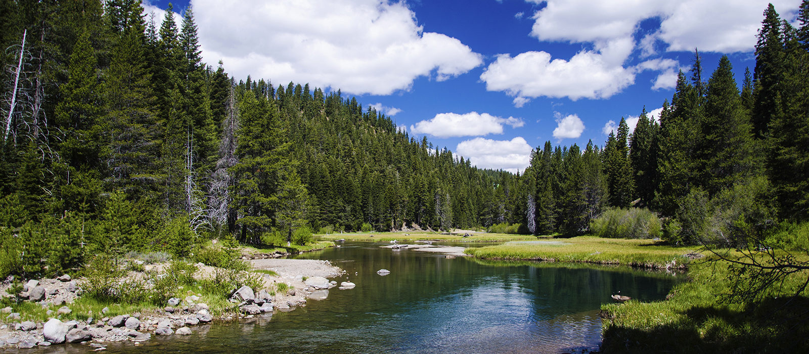 Truckee River Fund – Enhancing And Protecting Our Water Resources